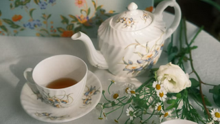 Where sunlight warms the table, and orchids unfold in porcelain.