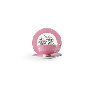 Colored Glaze Pembroke Oban Tea Cup & Saucer Set-Pink